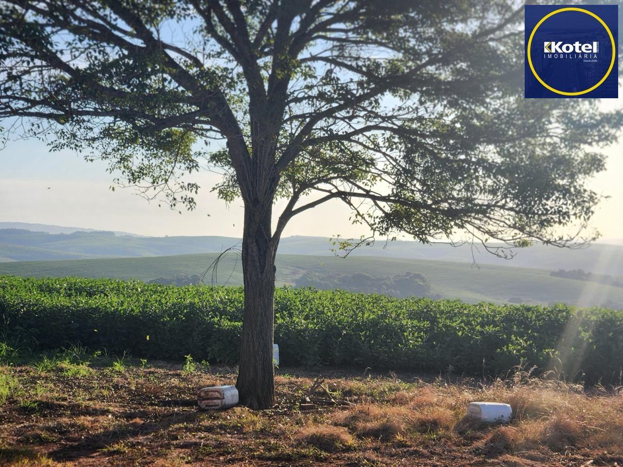 Fazenda apenas 50 quilômetros de PORTO ALEGRE