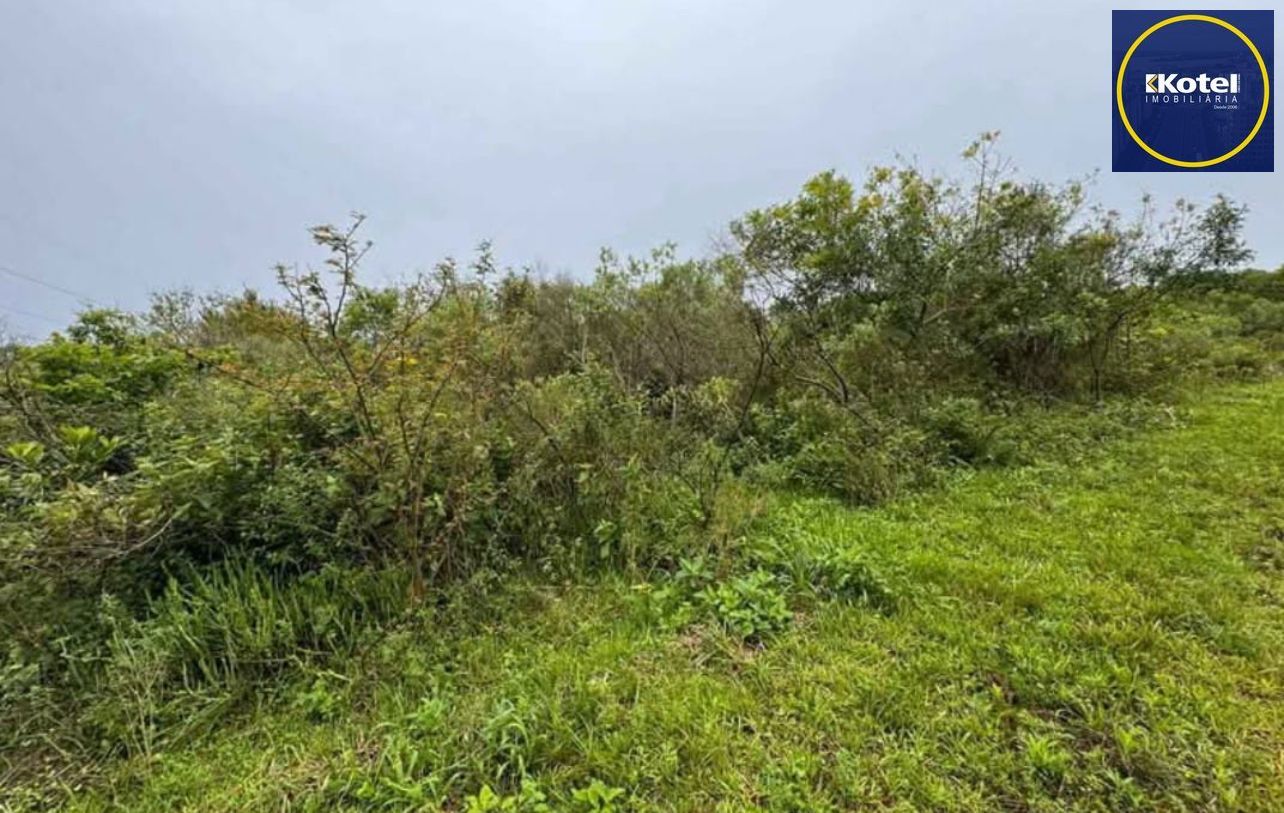 Área de 1 hectare à Venda em Santo Antônio da Patrulha, RS – Ótimo Preço!