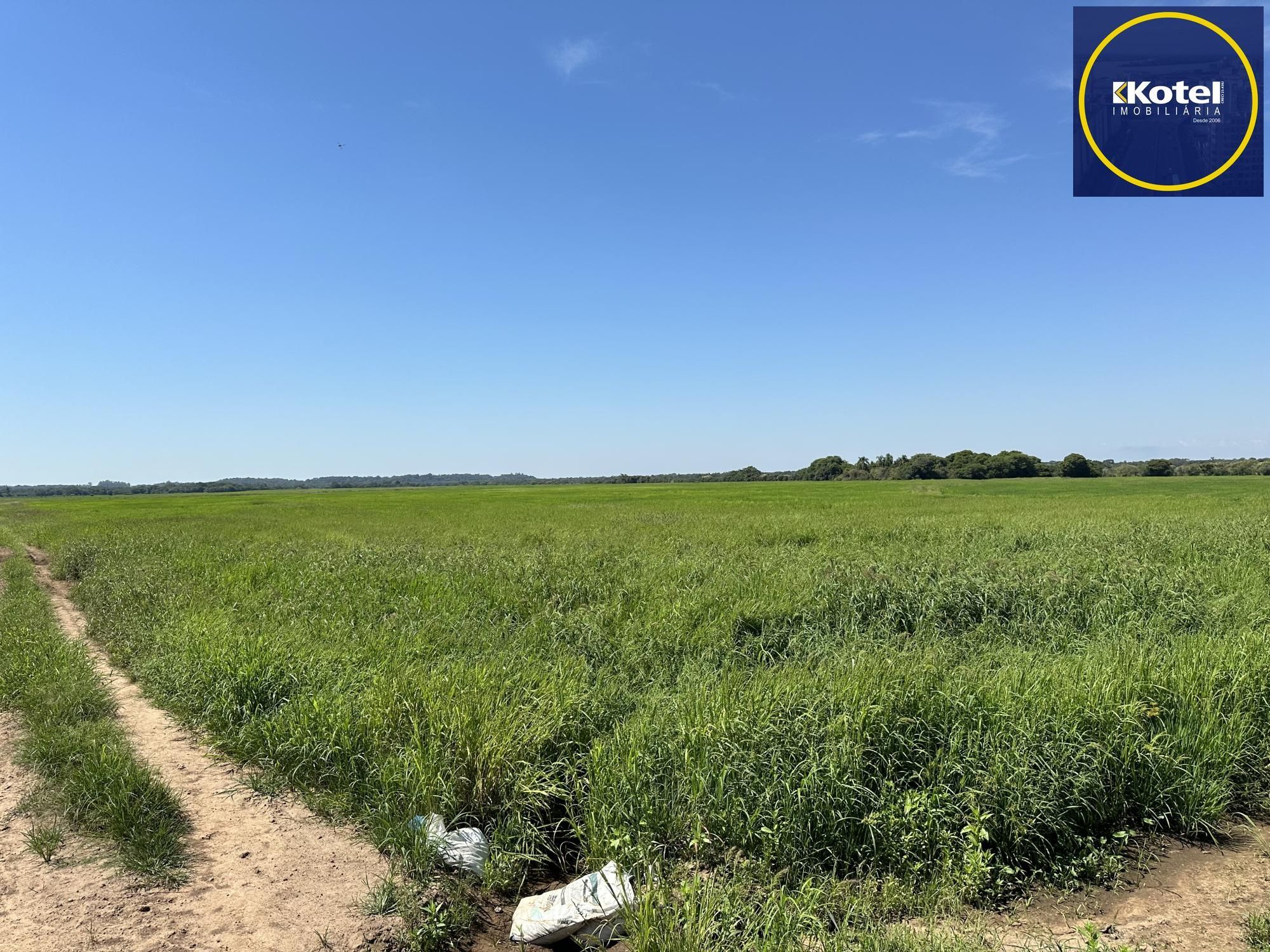 Campo de Arroz