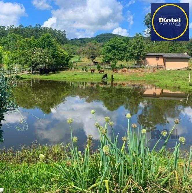 Sítio 4 quartos à venda, 22000m², Centro - Taquari