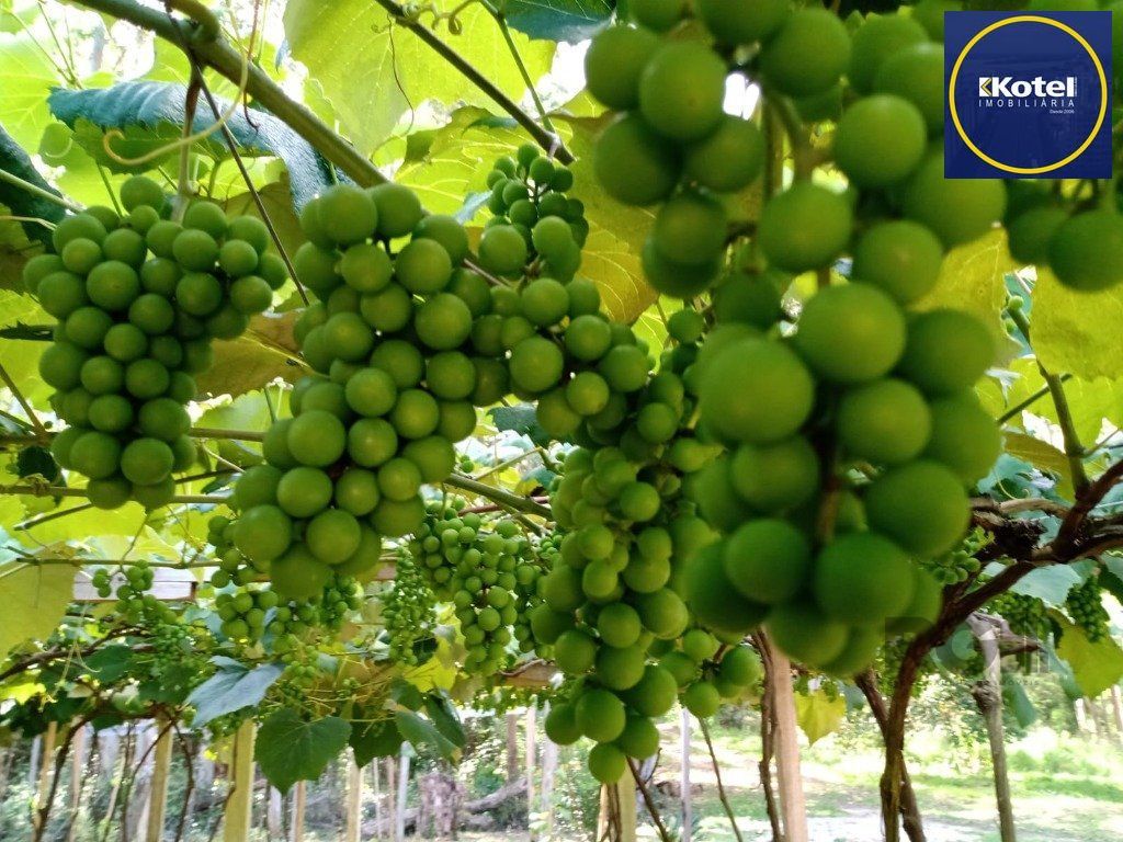 Fazenda 4 quartos à venda, 310m², Zona Rural - Sentinela do Sul