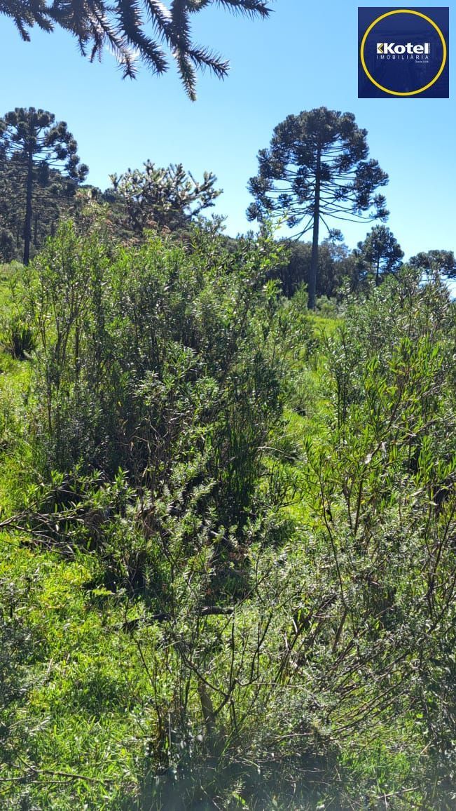 Fazenda 3 quartos à venda, 34000m², Centro - Bom Jardim da Serra