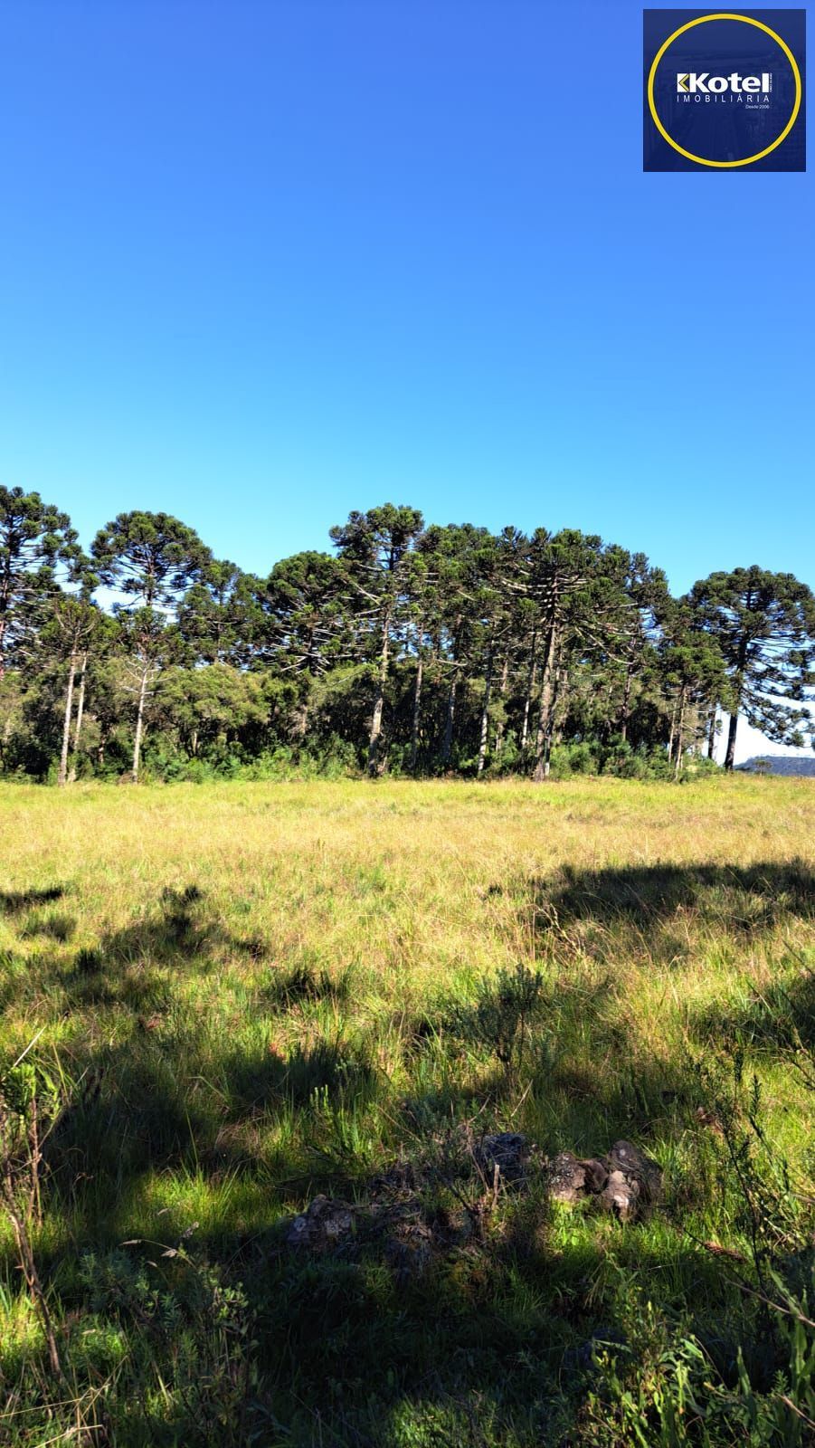 Fazenda 3 quartos à venda, 34000m², Centro - Bom Jardim da Serra