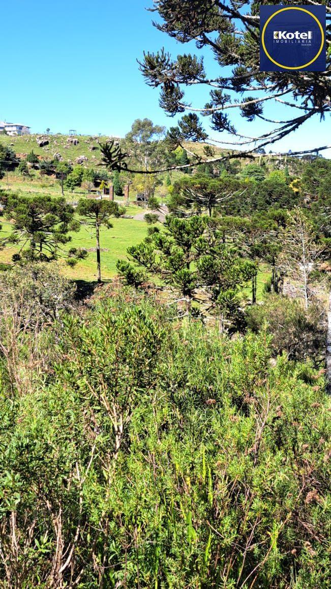 Fazenda 3 quartos à venda, 34000m², Centro - Bom Jardim da Serra