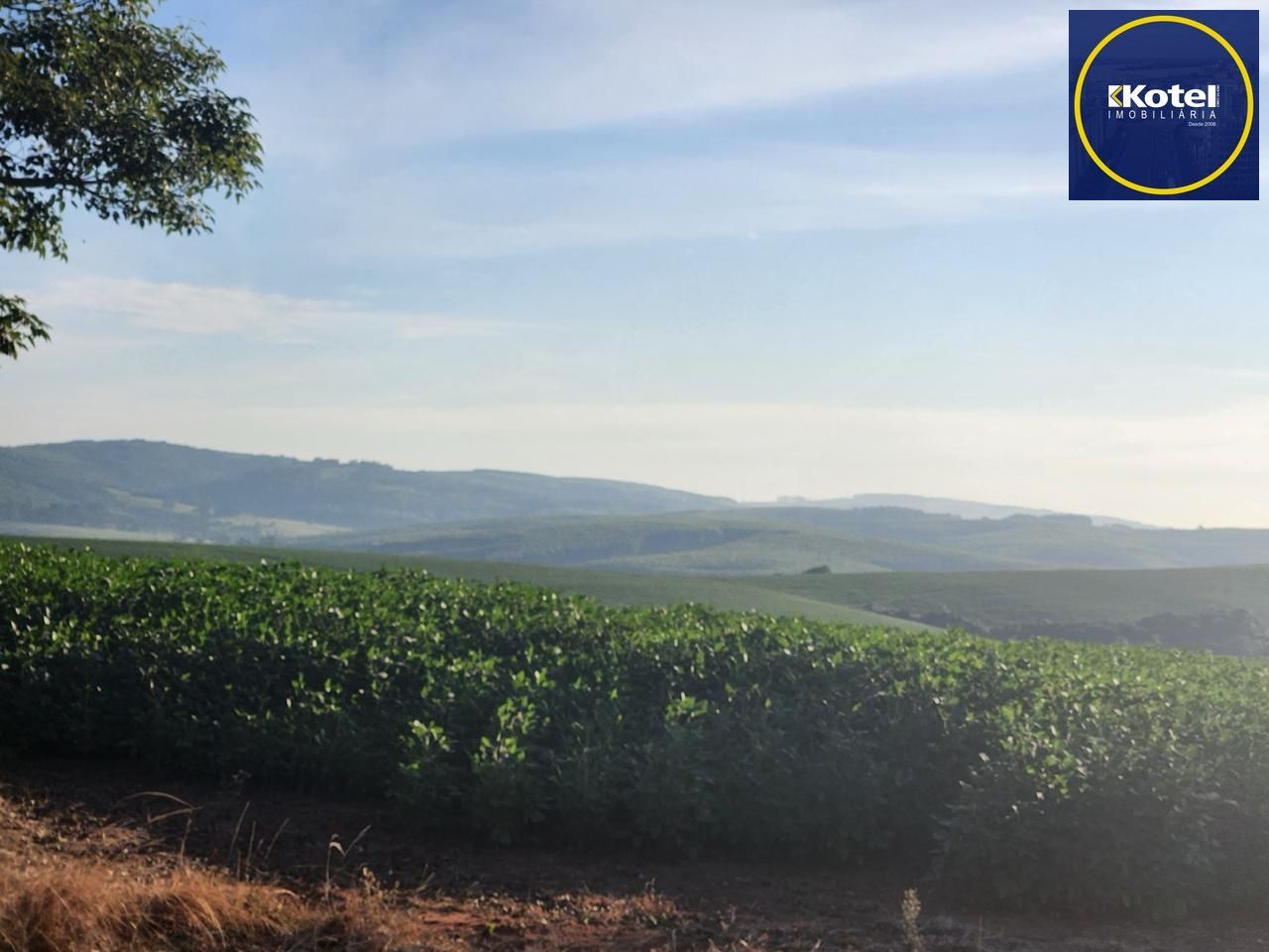 Fazenda apenas 50 quilômetros de PORTO ALEGRE