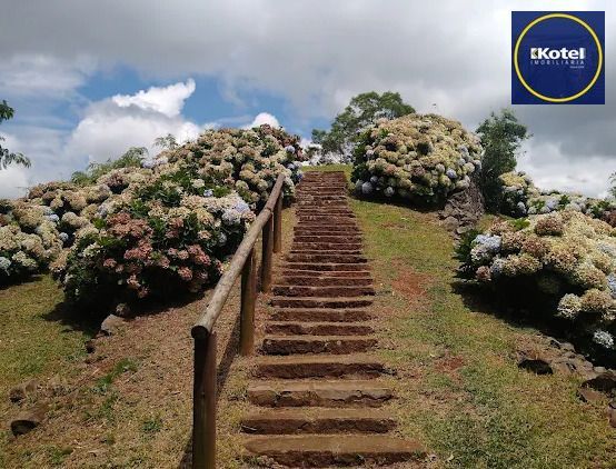 Terreno de 800m² no loteamento Vale dos Pinheiros, em Gramado, RS