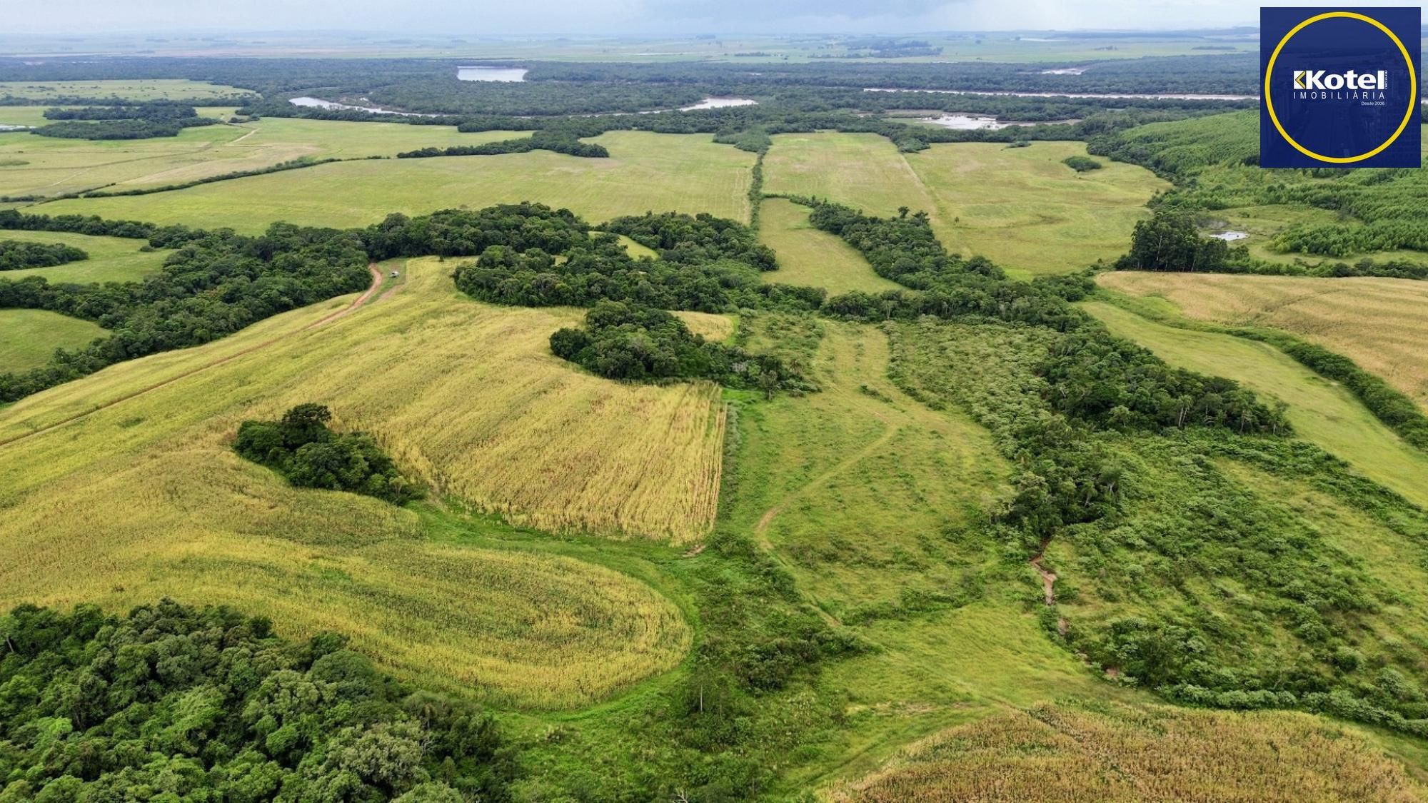 Fazenda à venda no Vale Verde - RS - 433 hectares. Ideal para Arroz e Soja.