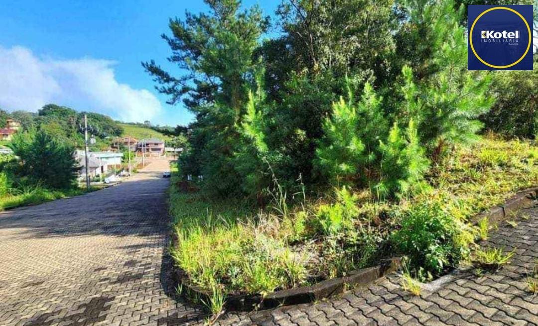 Terreno em Nova Petrópolis