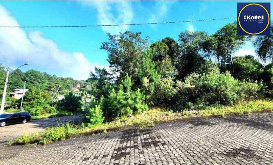 Terreno em Nova Petrópolis
