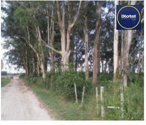 Area para Venda - 1.100.000m², Vila Santa Rosa