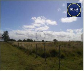 Area para Venda - 1.100.000m², Vila Santa Rosa